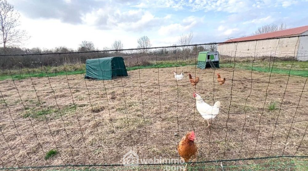 Photo 45 - Saint-Germier 79340 à Saint-Germier