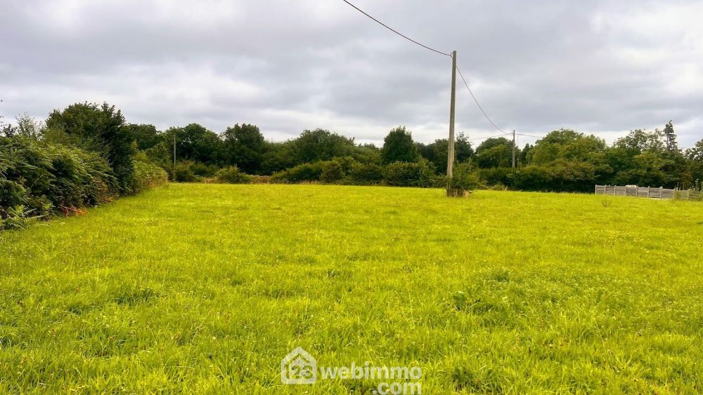 Photo 4 - Savigny 50210 à Savigny