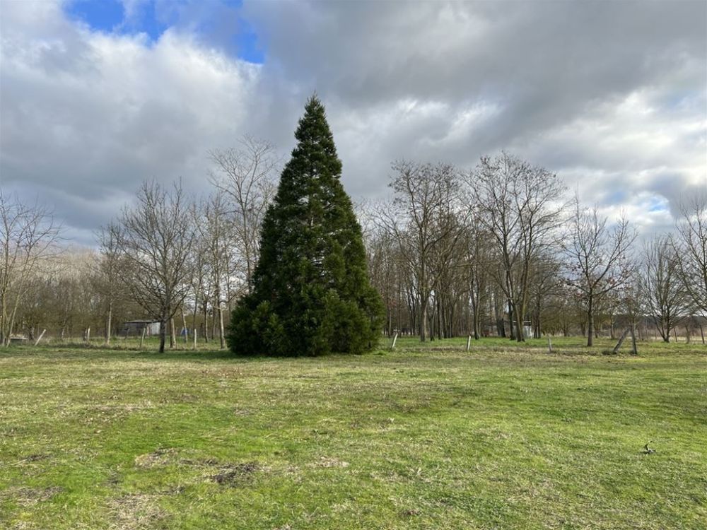 Photo 18 - Gée 49250 à Gée