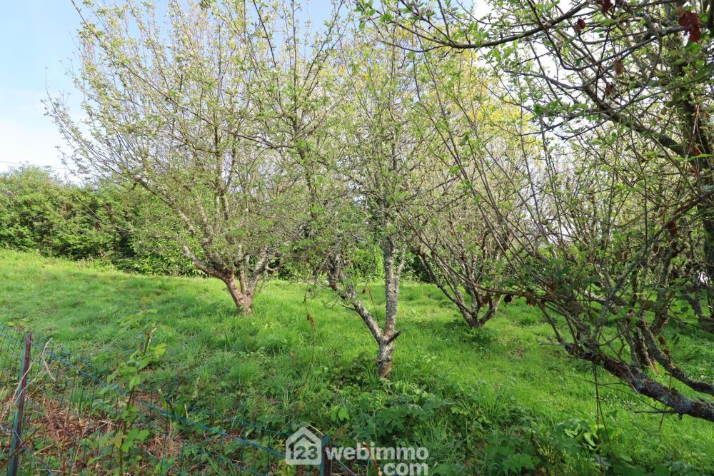 Photo 8 - Trédrez-Locquémeau 22300 à Trédrez-Locquémeau