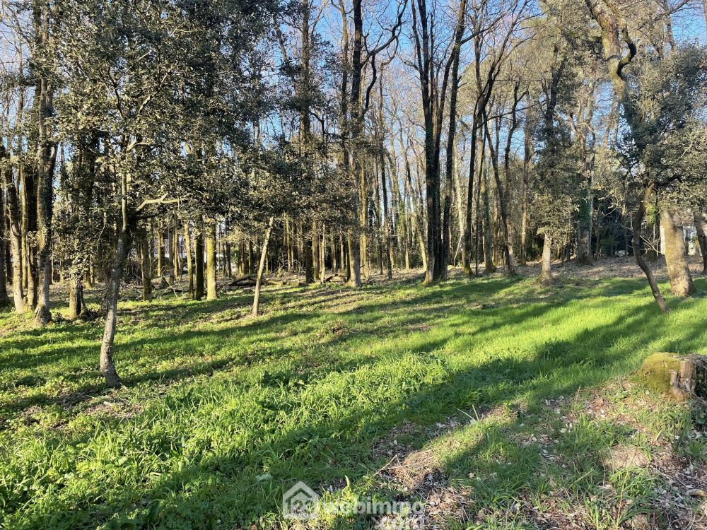 Photo 2 - Jard-sur-Mer 85520 à Jard-sur-Mer