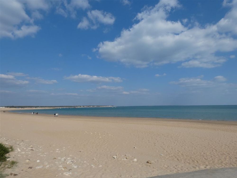 Photo 9 - La Tranche-sur-Mer 85360 à La Tranche-sur-Mer