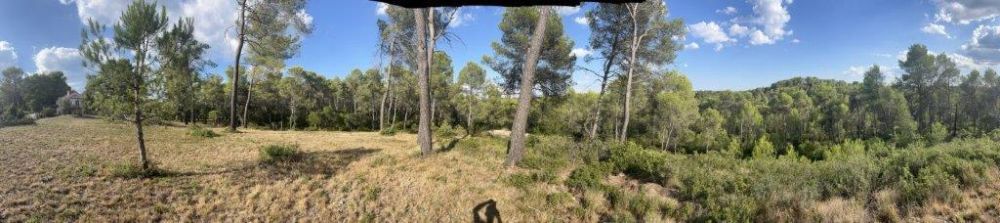 Photo 32 - Saint-Clément-de-Rivière 34980 à Saint-Clément-de-Rivière