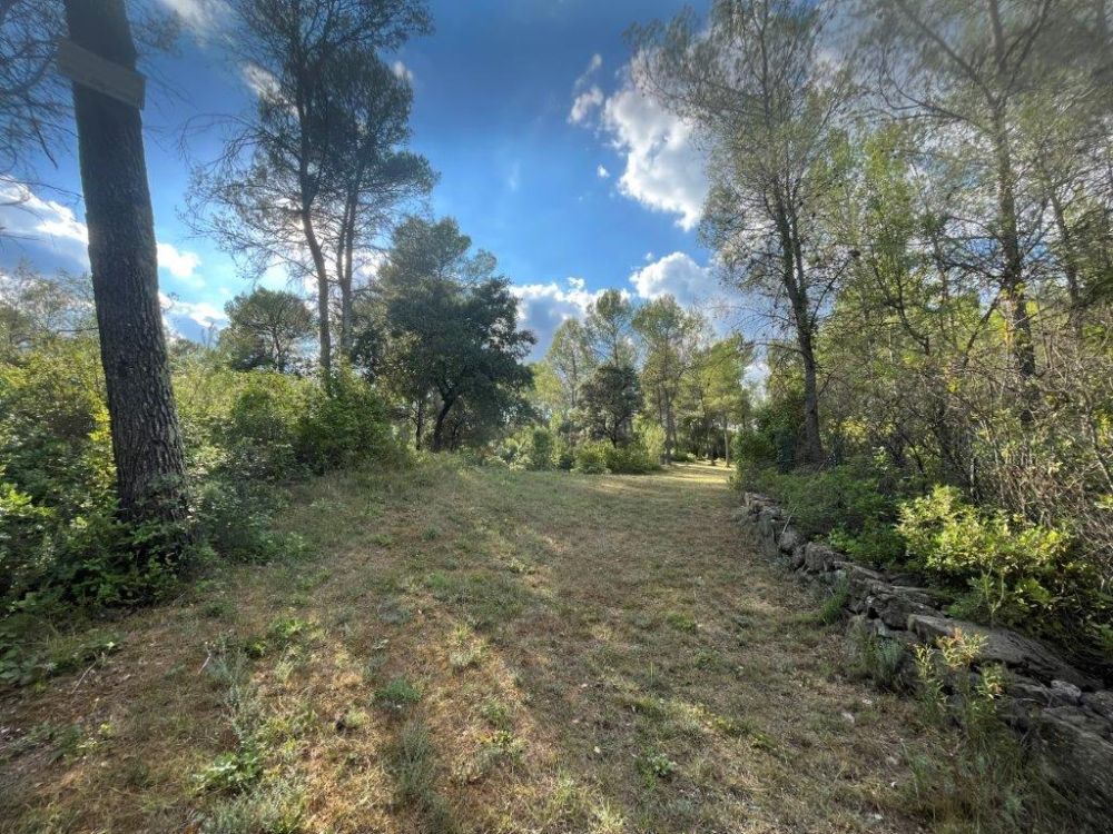 Photo 40 - Saint-Clément-de-Rivière 34980 à Saint-Clément-de-Rivière