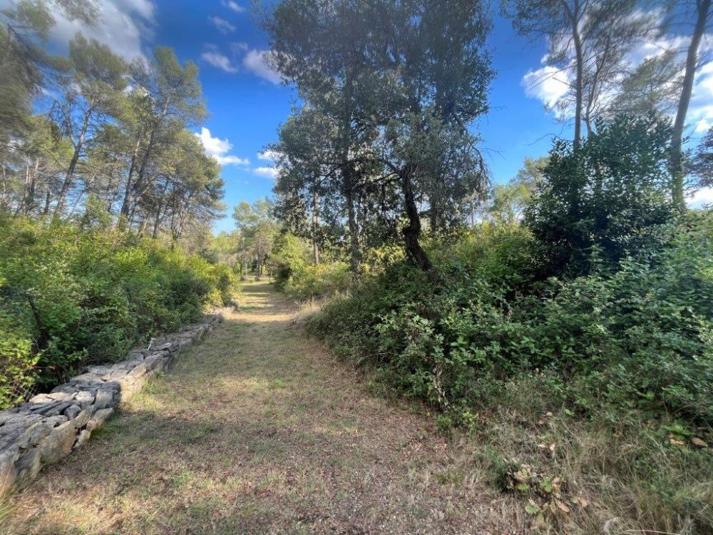 Photo 41 - Saint-Clément-de-Rivière 34980 à Saint-Clément-de-Rivière