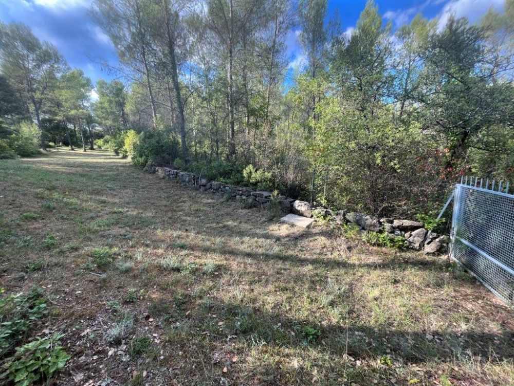 Photo 42 - Saint-Clément-de-Rivière 34980 à Saint-Clément-de-Rivière