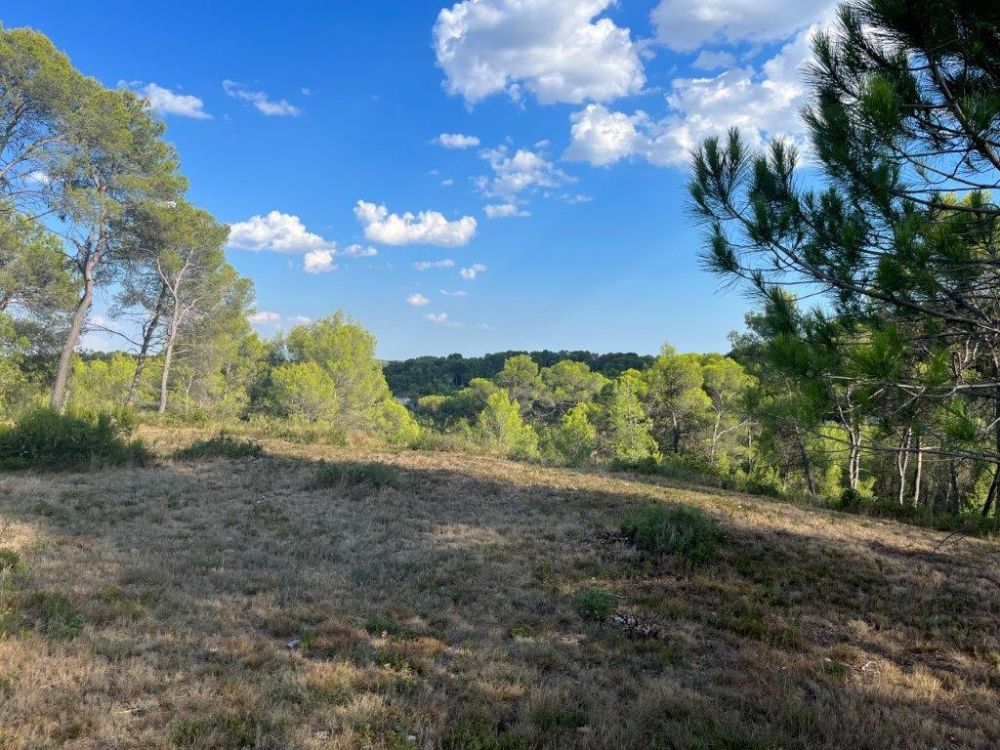 Photo 45 - Saint-Clément-de-Rivière 34980 à Saint-Clément-de-Rivière