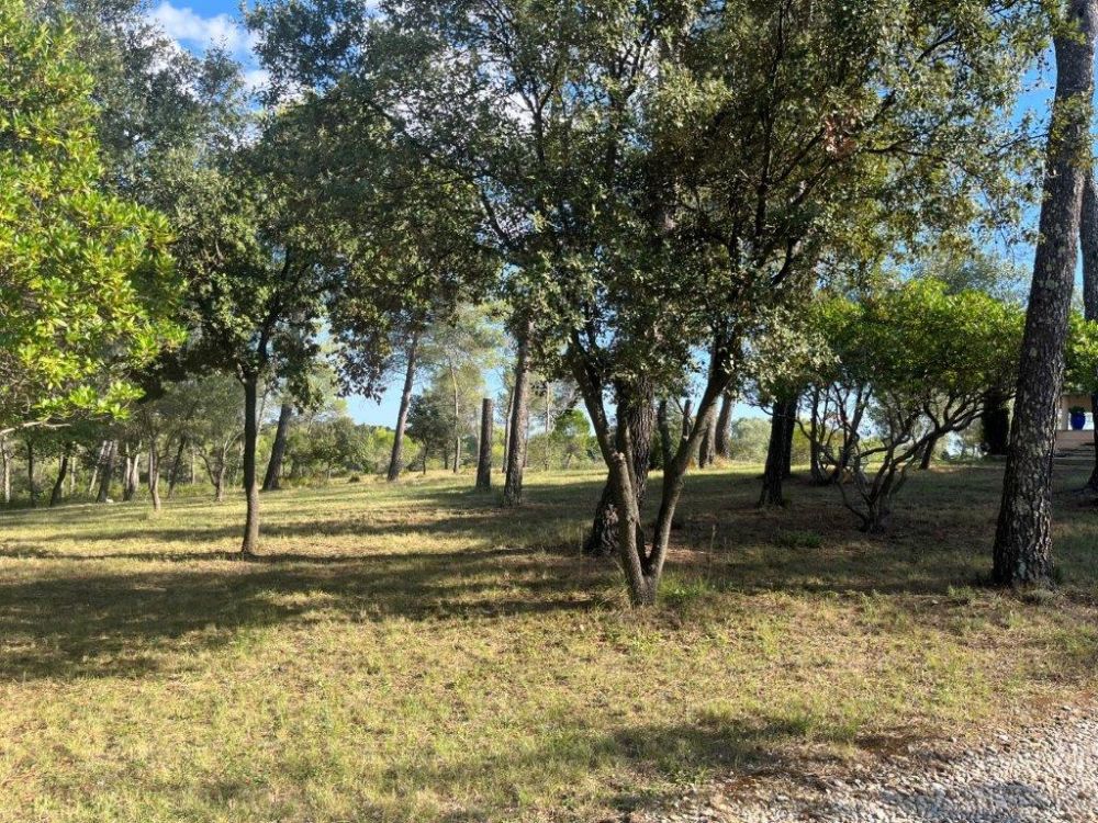 Photo 49 - Saint-Clément-de-Rivière 34980 à Saint-Clément-de-Rivière