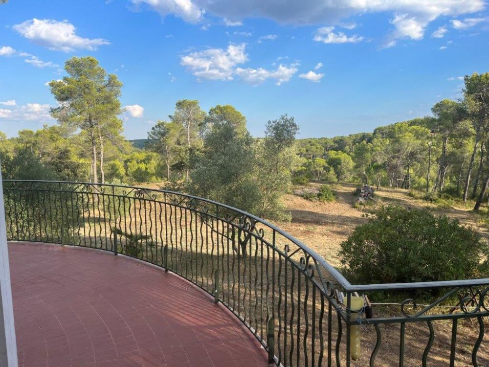 Photo 52 - Saint-Clément-de-Rivière 34980 à Saint-Clément-de-Rivière