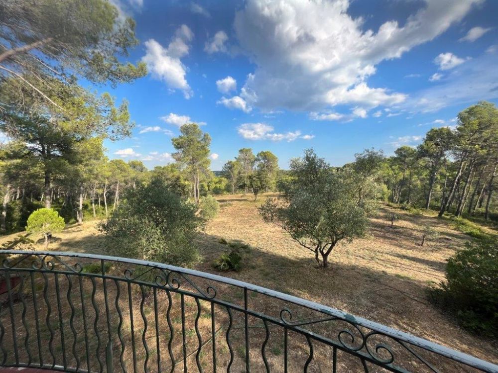 Photo 3 - Saint-Clément-de-Rivière 34980 à Saint-Clément-de-Rivière