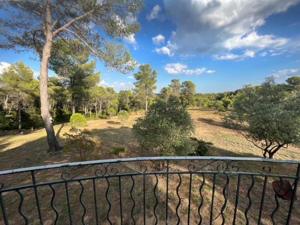 Photo 57 - Saint-Clément-de-Rivière 34980 à Saint-Clément-de-Rivière