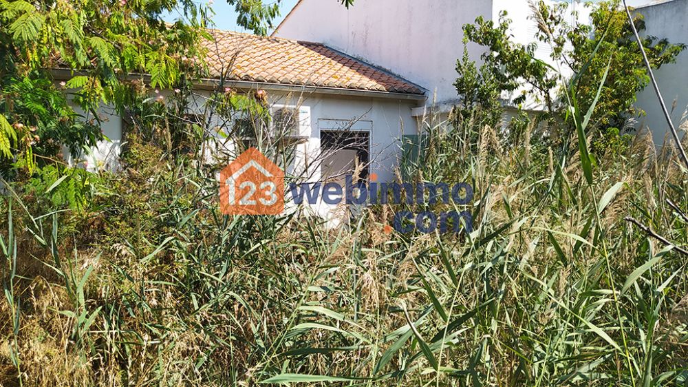 Photo 3 - Saintes-Maries-de-la-Mer 13460 à Saintes-Maries-de-la-Mer