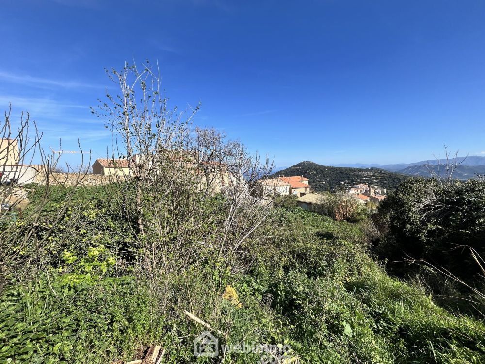 Photo 2 - Santa-Reparata-Di-Balagna 20220 à Santa-Reparata-Di-Balagna