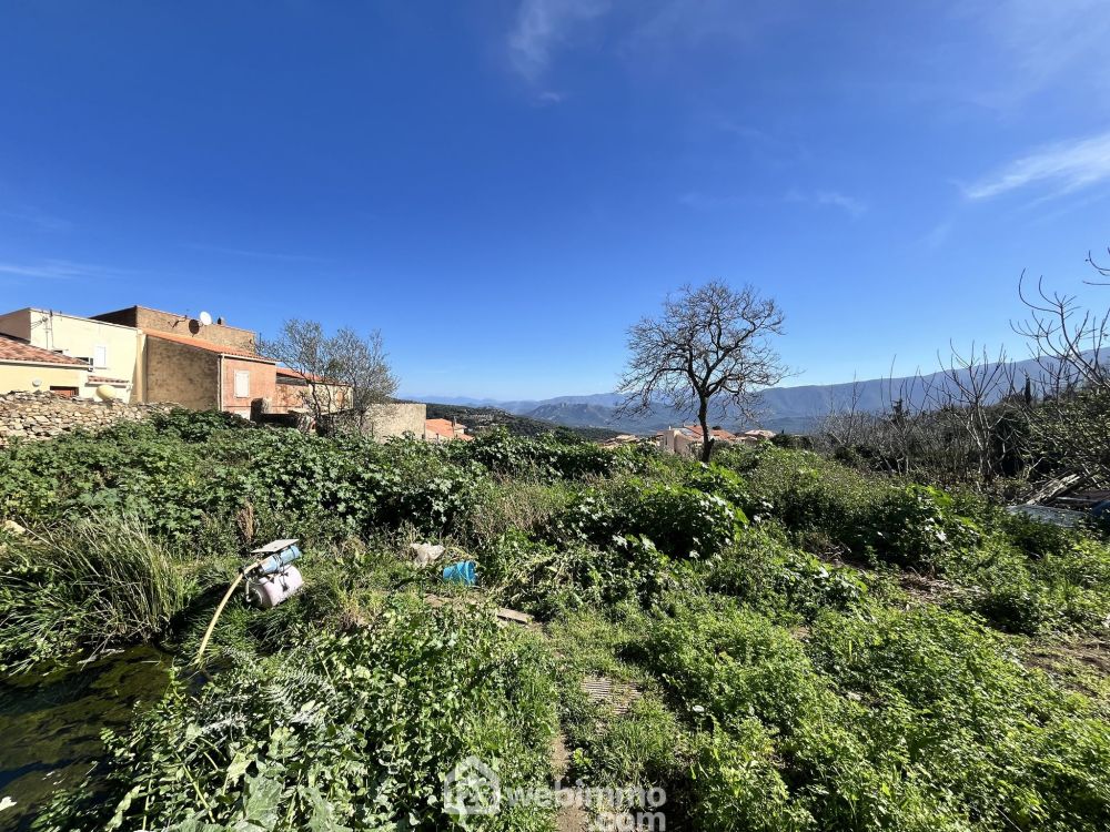 Photo 4 - Santa-Reparata-Di-Balagna 20220 à Santa-Reparata-Di-Balagna