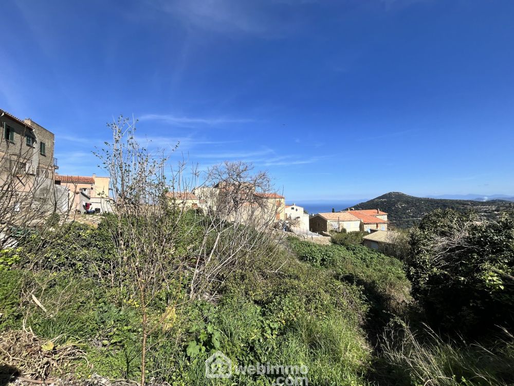 Photo 5 - Santa-Reparata-Di-Balagna 20220 à Santa-Reparata-Di-Balagna