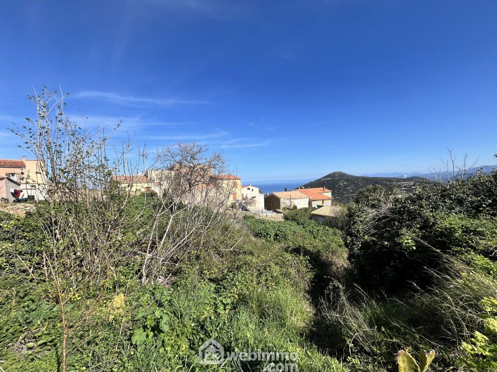 Photo 6 - Santa-Reparata-Di-Balagna 20220 à Santa-Reparata-Di-Balagna