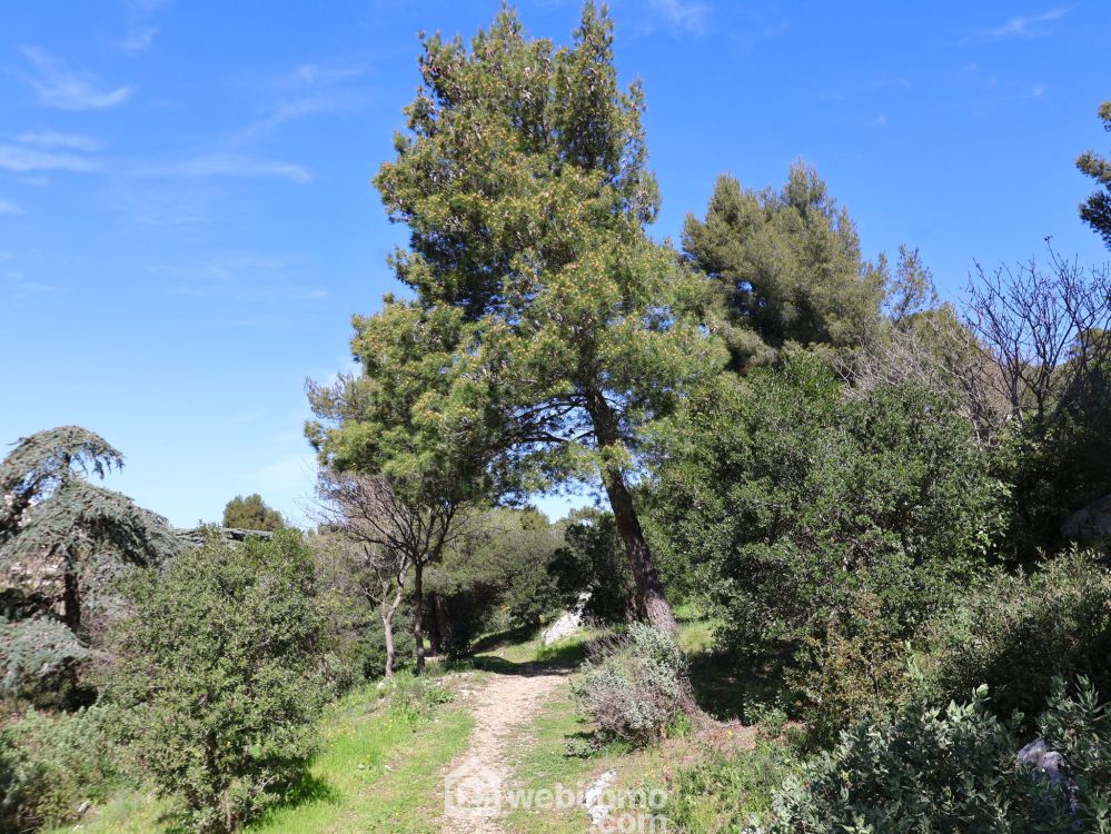 Photo 22 - Marseille 13009 à Marseille