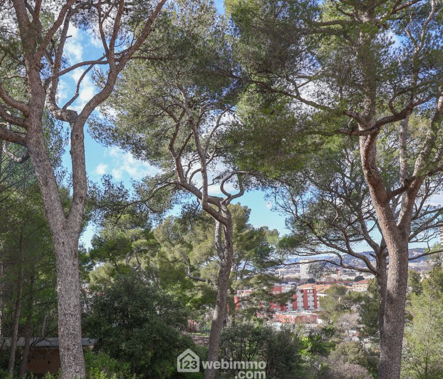 Photo 21 - Marseille 13009 à Marseille