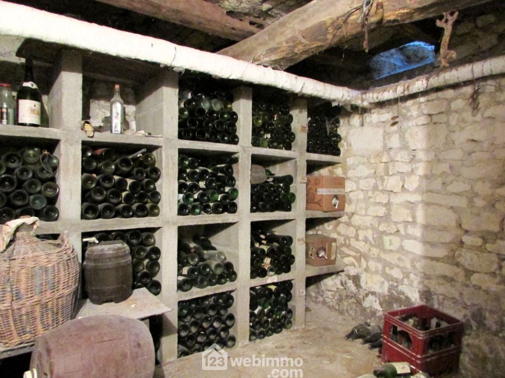 Photo 23 - Razines 37120 à Razines