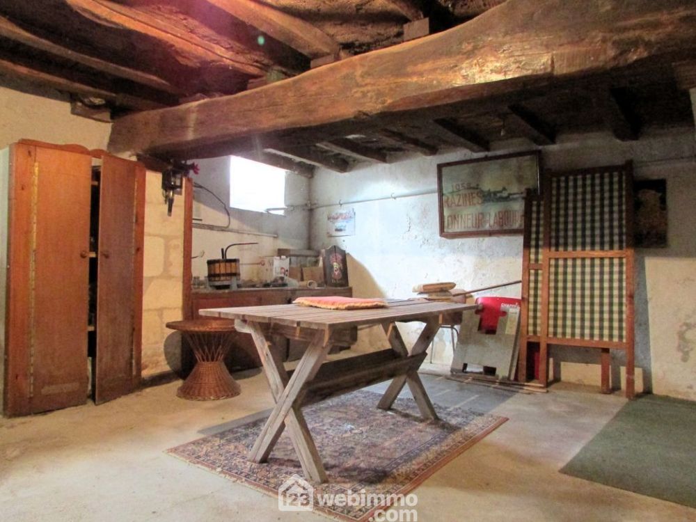 Photo 24 - Razines 37120 à Razines