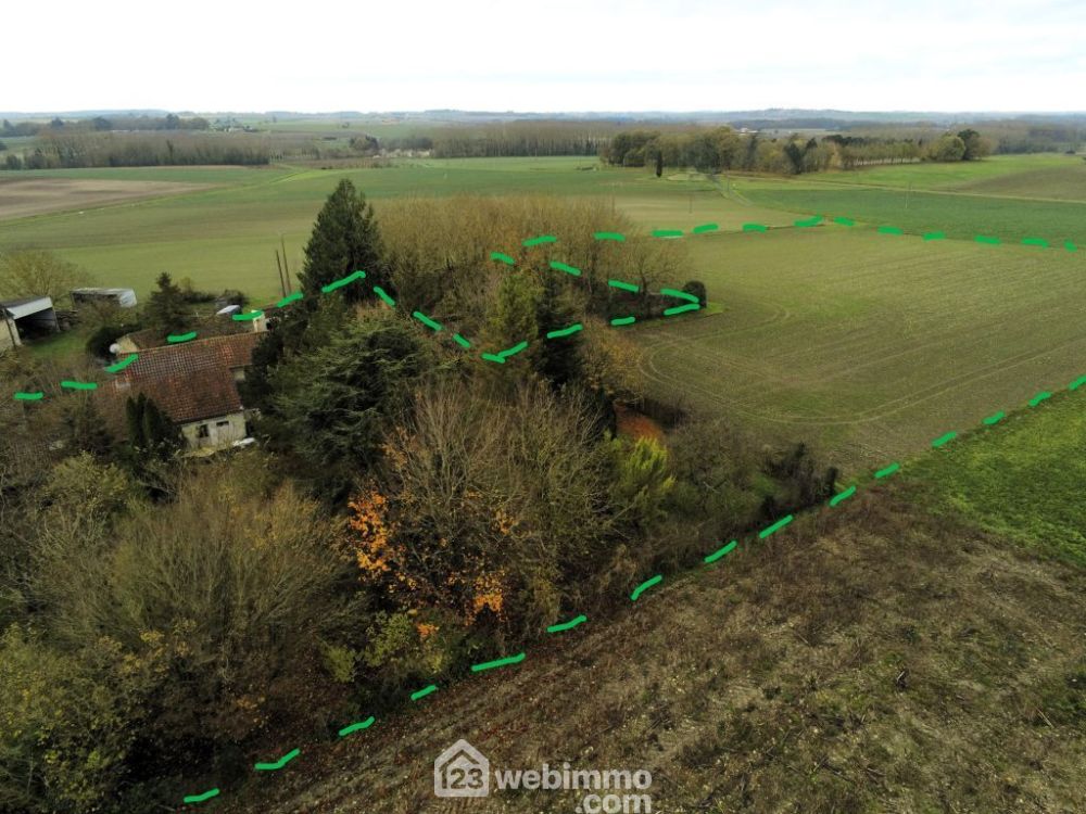 Photo 29 - Razines 37120 à Razines