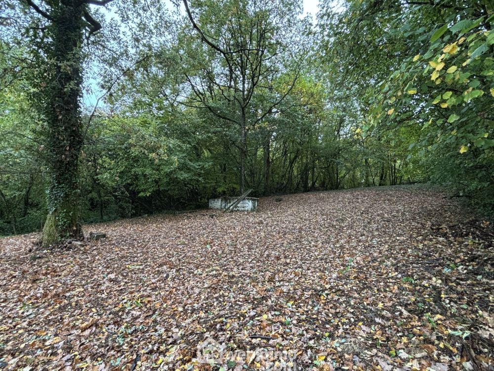 Photo 30 - Colombiers 86490 à Colombiers