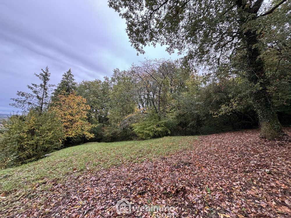 Photo 29 - Colombiers 86490 à Colombiers