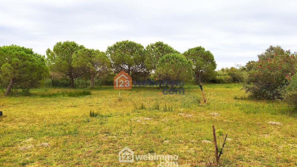 Photo 9 - Saintes-Maries-de-la-Mer 13460 à Saintes-Maries-de-la-Mer