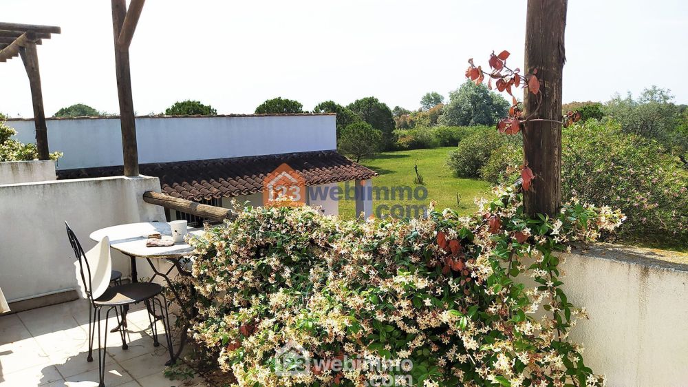 Photo 12 - Saintes-Maries-de-la-Mer 13460 à Saintes-Maries-de-la-Mer