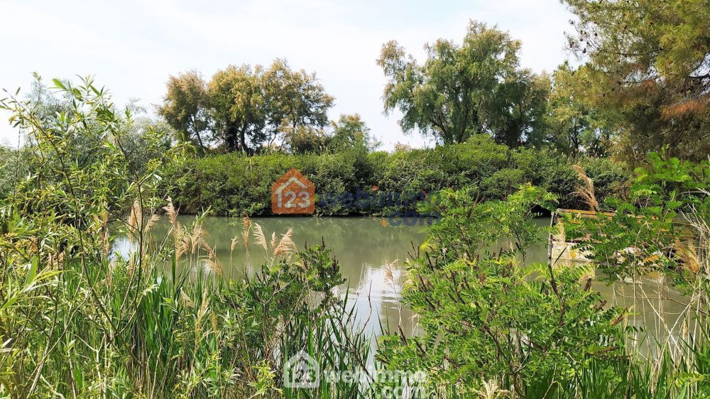 Photo 20 - Saintes-Maries-de-la-Mer 13460 à Saintes-Maries-de-la-Mer