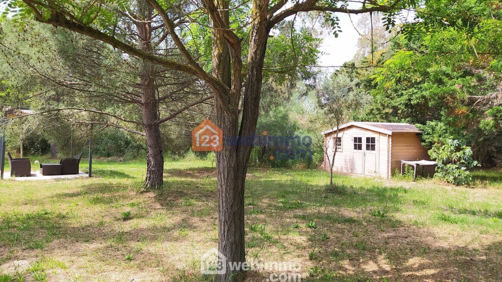 Photo 21 - Saintes-Maries-de-la-Mer 13460 à Saintes-Maries-de-la-Mer