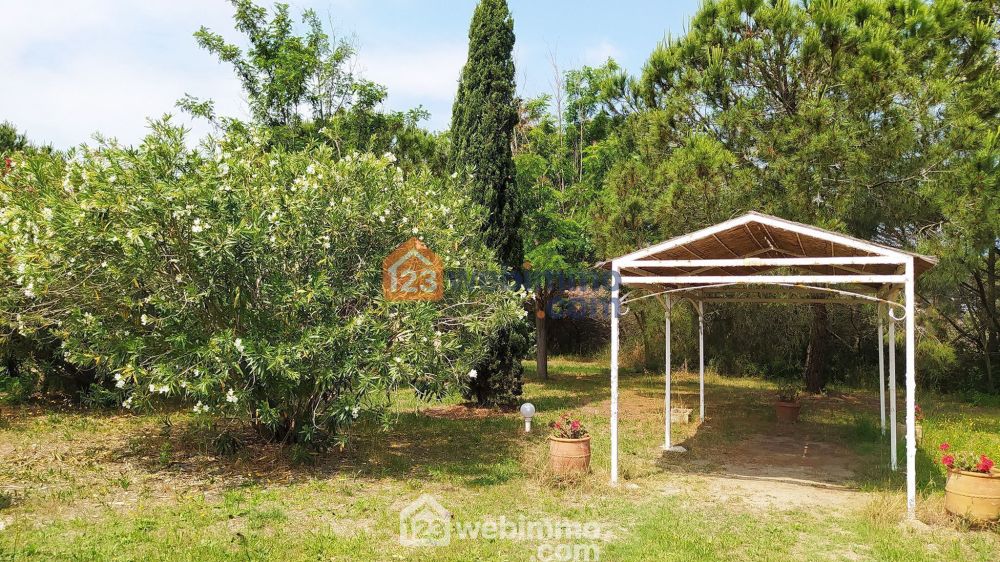 Photo 22 - Saintes-Maries-de-la-Mer 13460 à Saintes-Maries-de-la-Mer