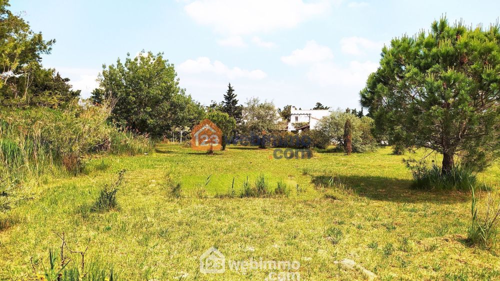 Photo 23 - Saintes-Maries-de-la-Mer 13460 à Saintes-Maries-de-la-Mer