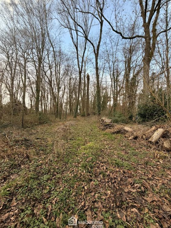 Photo 21 - Pinon 02320 à Pinon