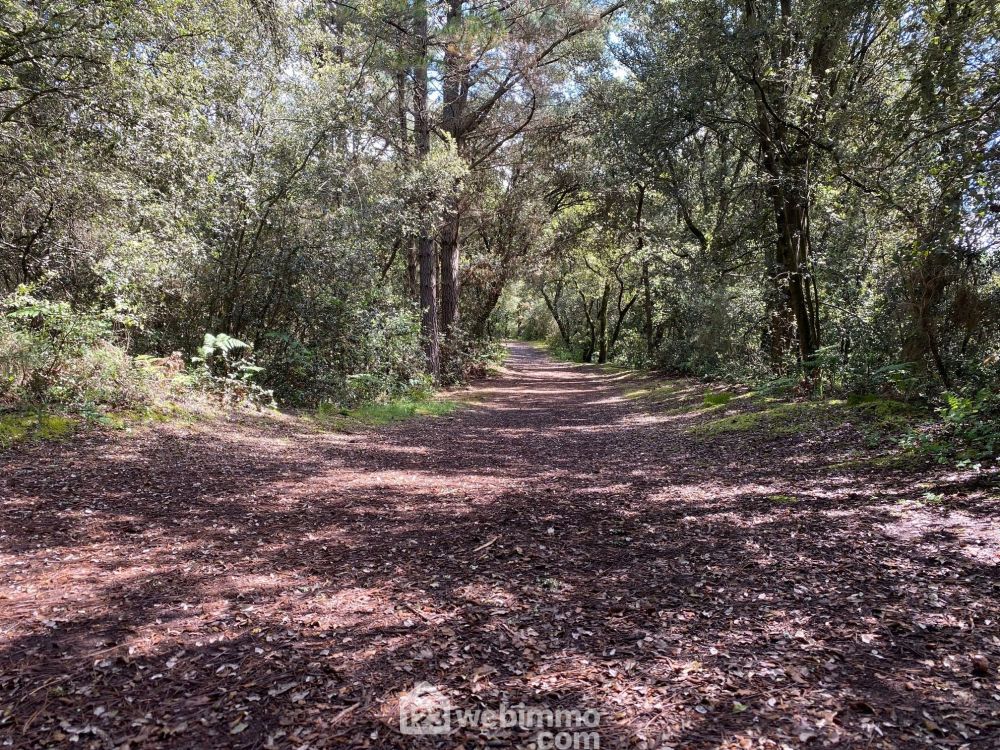 Photo 5 - Jard-sur-Mer 85520 à Jard-sur-Mer