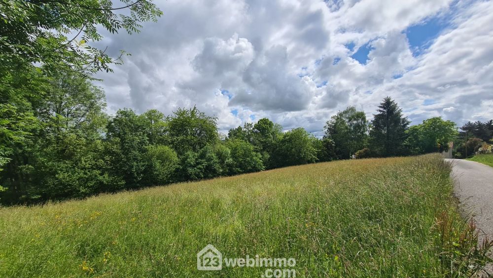 Photo 3 - Haut-de-Bosdarros 64800 à Haut-de-Bosdarros