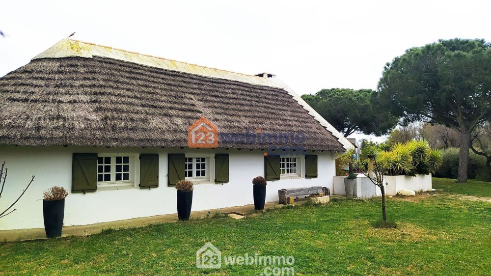 Photo 4 - Saintes-Maries-de-la-Mer 13460 à Saintes-Maries-de-la-Mer