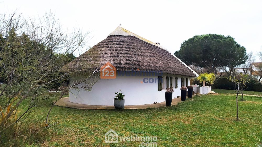 Photo 5 - Saintes-Maries-de-la-Mer 13460 à Saintes-Maries-de-la-Mer