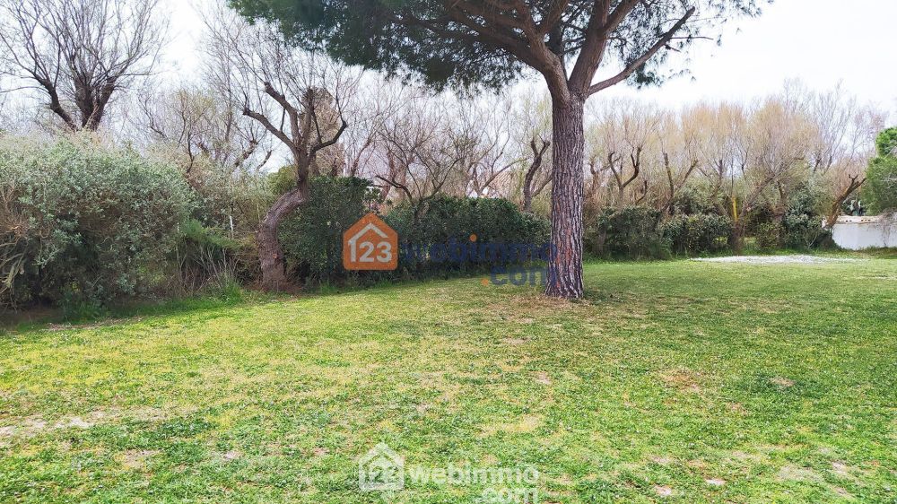 Photo 7 - Saintes-Maries-de-la-Mer 13460 à Saintes-Maries-de-la-Mer