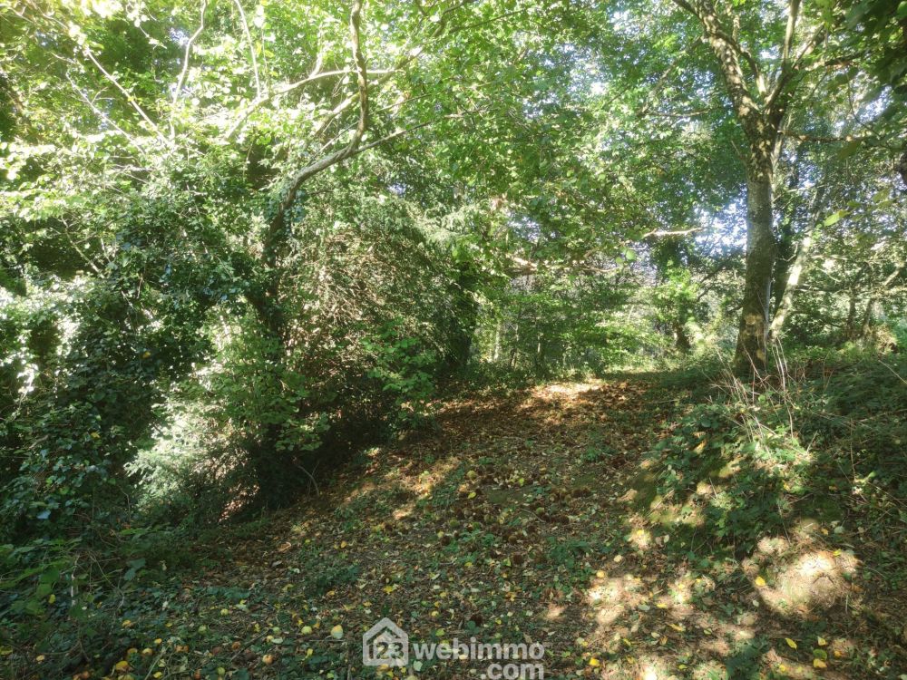 Photo 6 - Le Vieux-Marché 22420 à Le Vieux-Marché