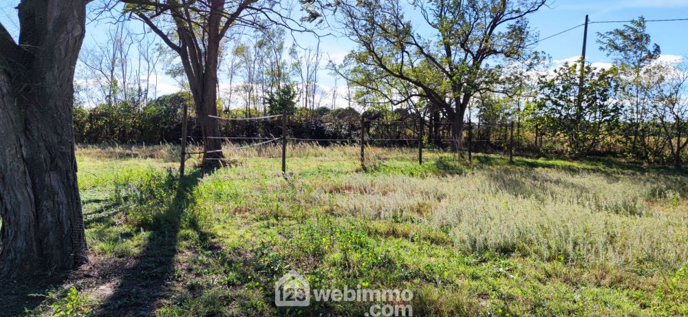 Photo 8 - Vauvert 30600 à Vauvert