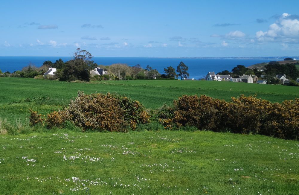 Photo 42 - Plougasnou 29630 à Plougasnou