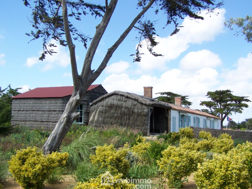 Photo 3 - Saint-Vincent-sur-Jard 85520 à Saint-Vincent-sur-Jard