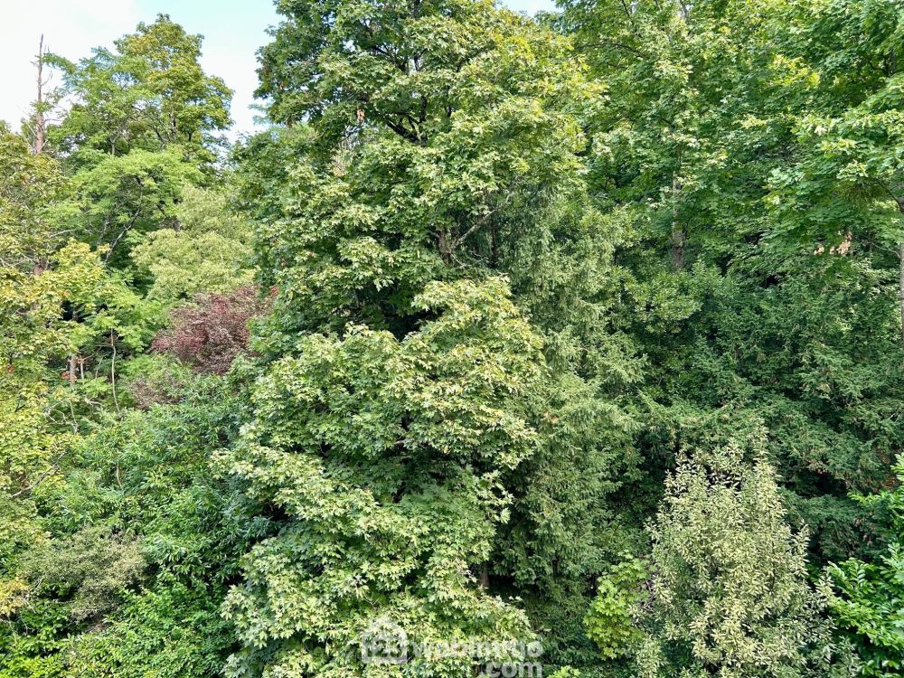 Photo 30 - Poitiers 86000 à Poitiers