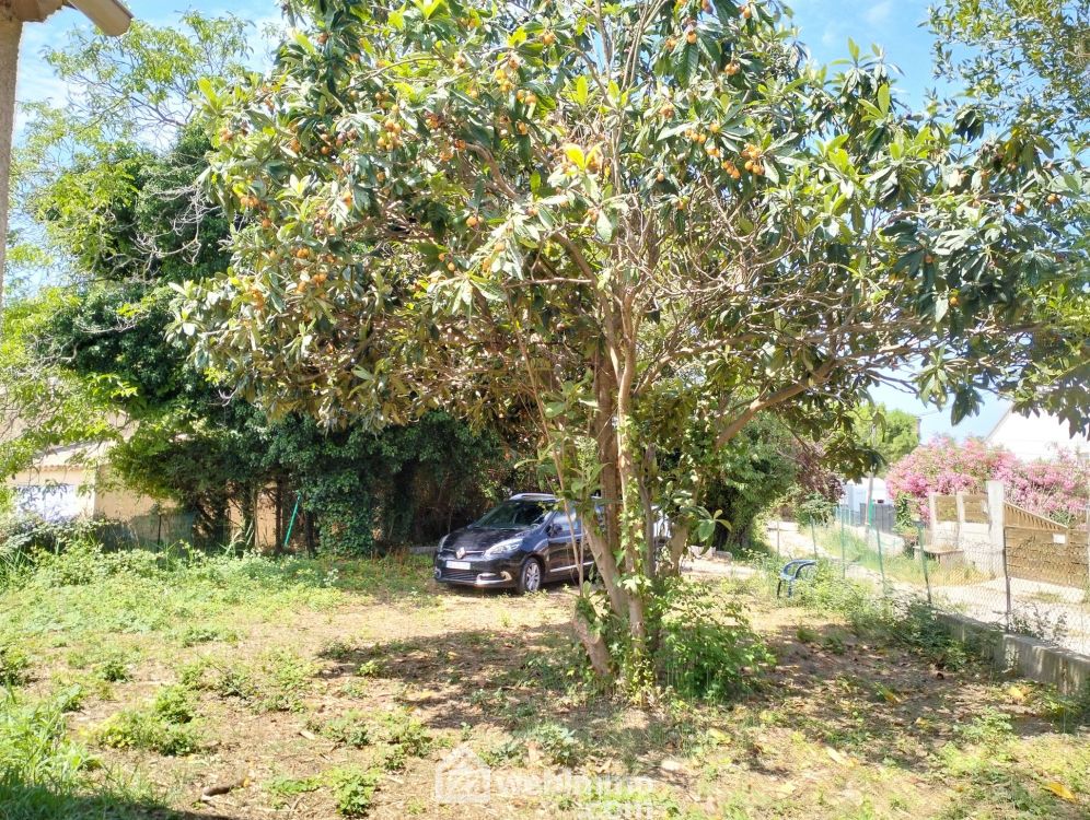 Photo 3 - Vidauban 83550 à Vidauban