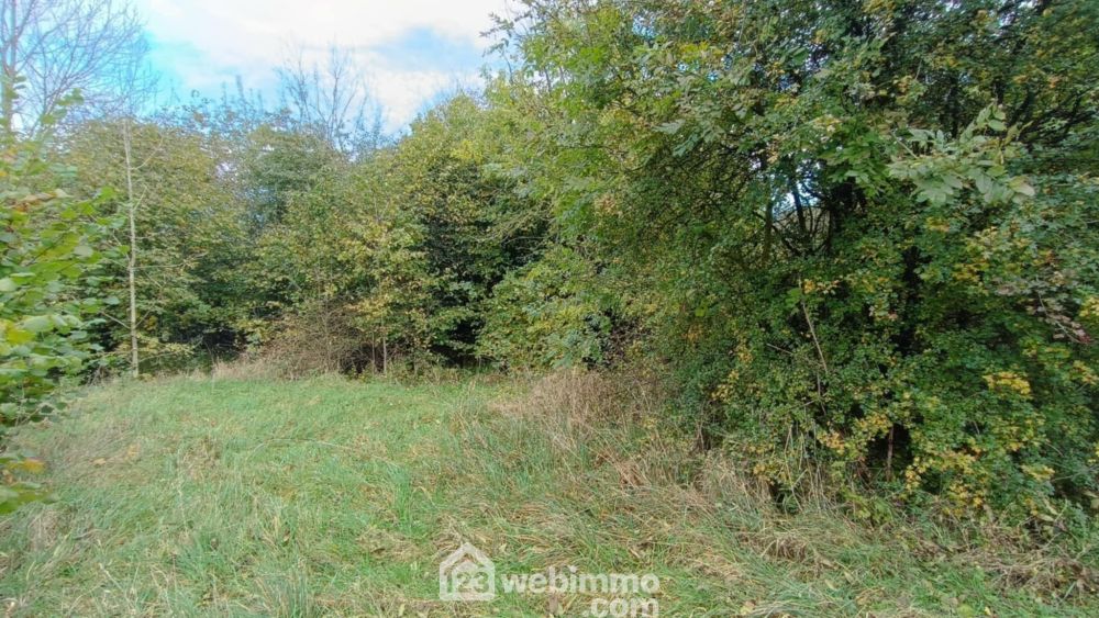 Photo 13 - Villers-devant-Dun 55110 à Villers-devant-Dun