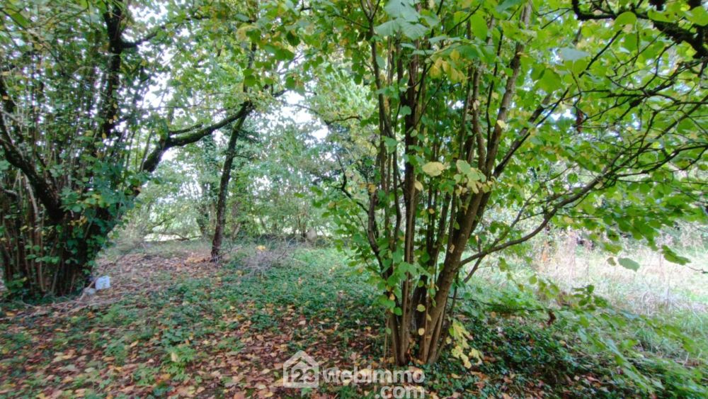 Photo 10 - Villers-devant-Dun 55110 à Villers-devant-Dun