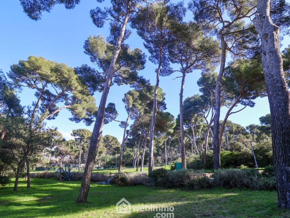 Photo 13 - Marseille 13008 à Marseille