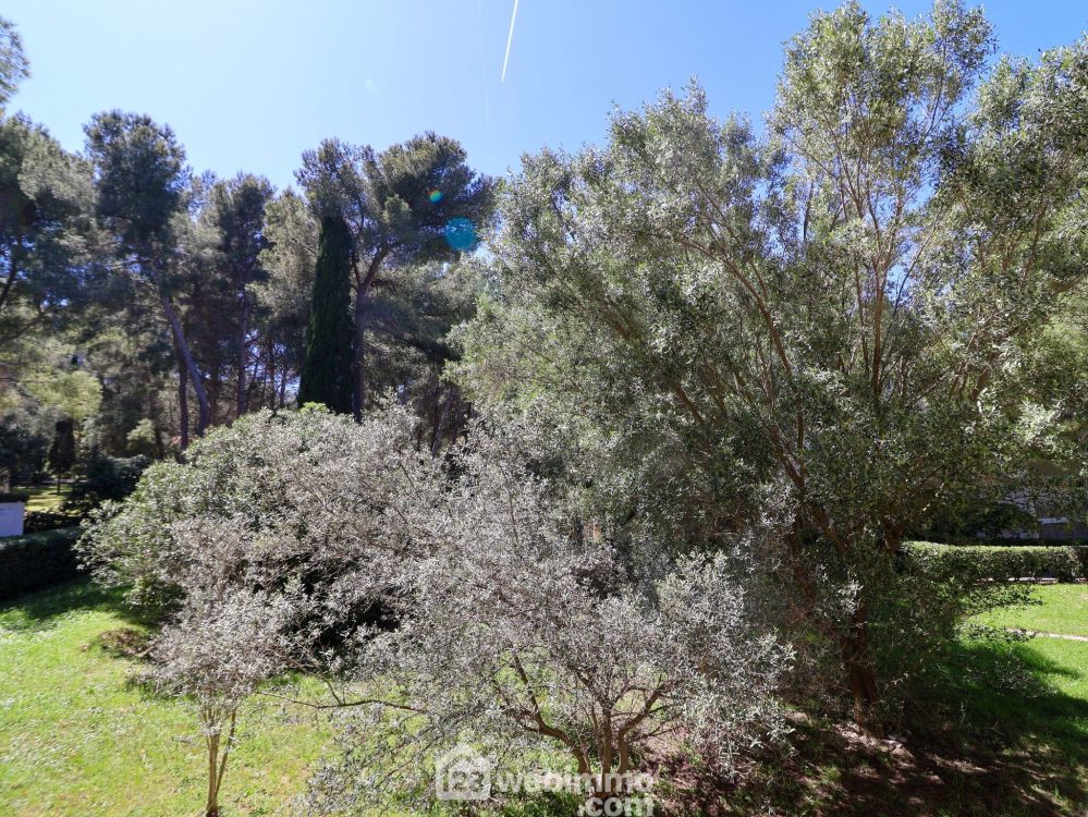 Photo 3 - Marseille 13008 à Marseille