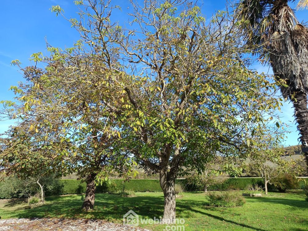 Photo 25 - Saint-Jean-Poutge 32190 à Saint-Jean-Poutge